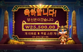 케트라 너무하네