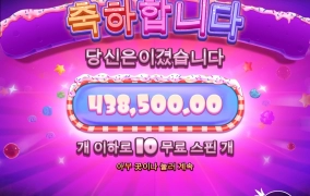 슈가슈프림 후기