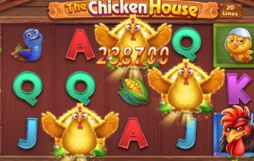 저녁은 치킨이다