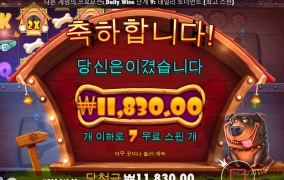 개집은 이제 안하는게 답