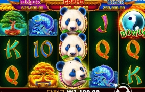 판다 프리 들어가기 넘 빡쎄네...