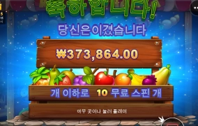 만족스러운  하루