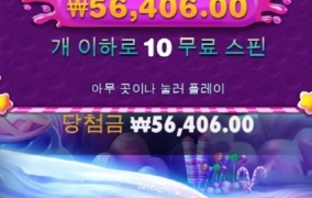 스윗트보난자 다이스