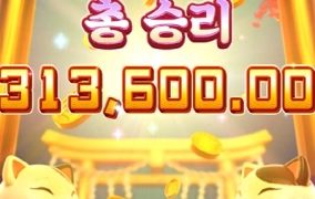 피지소프트 럭키네코