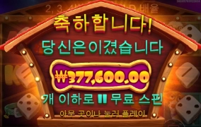 개집 주사위  ㅅㅅ