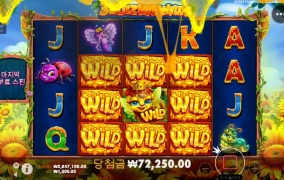 3버징와일드 와일드가 아깝다 아오