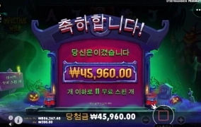 인펙티브와일드 호박좀 마이다오