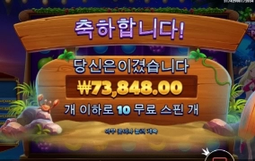 와일드비치파티