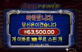 피크파워 넘 안주네 ㅡㅡ