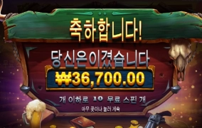 와일드 웨스트 듀얼스