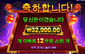 드래곤히어로 사대 안맞네