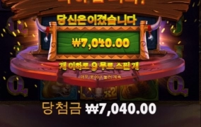 와일드바이슨 후기