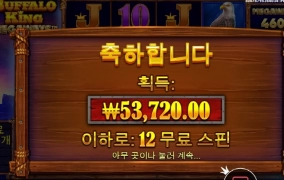 버팔로킹 메가웨이 후기