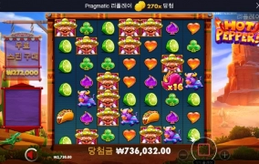 핫페퍼 270배 아주 고맙고 ㅅㅅㅅ