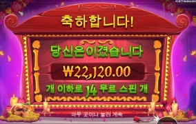 무에르토스 14스핀 인데 이게 맞냐?