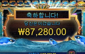 피씨아이 파라오 클레오 잘뜨긴했는데