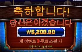 머스탱 트레일 말 무진장 안주네