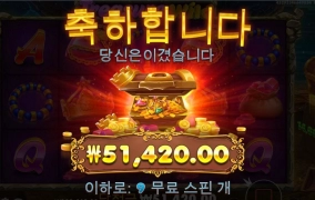 바닥보나스 트레져와일드