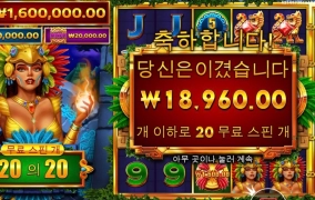 파이어버드 커넥트 실종