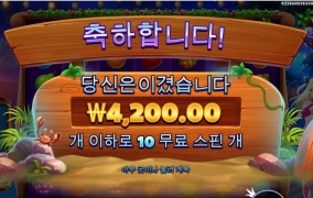 와일드 비치누나 실망이야