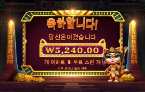 요즘 내가 자주가는 냥트라