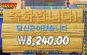 빅베스야 정신차려