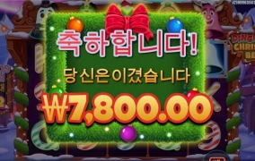 프라그마틱 오늘 너무하노