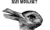 토끼가 보이나요? 오리가 보이나요?