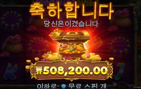 트레져와일드 후기