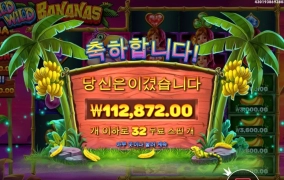 오랫만에 돌려보는 와일드 바나나