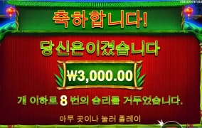 40바퀴만에 진입 판다