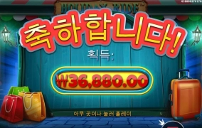 프라그마틱 홀리데이 라이트 딱 구맷값