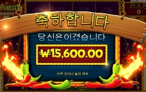 칠리메가 실망이다