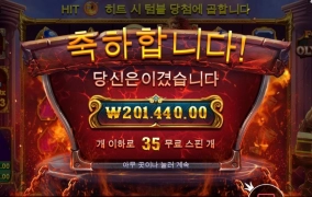 포지 올림푸스 500곱 히트다 히트!