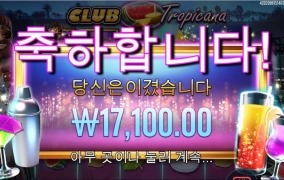 프라그마틱 클럽 트로피카나 털보