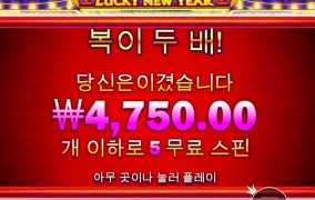 요즘 바닥에서만 돌리는중