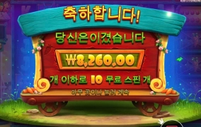 프라그마틱 래빗가든 황금코인 다 스쳐가