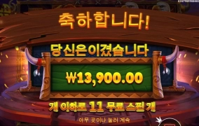 안주는 와일드 바이슨