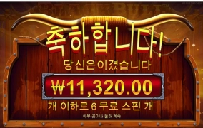 프라그마틱 블랙불 바닥보나스