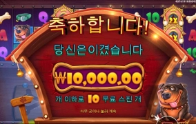 도그 멀티 안열어주네