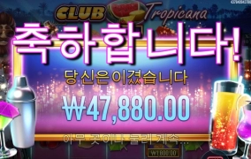 왜케 털보시리즈가 정이 가는거지