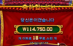 펫 판다 기대한만큼은 안주네