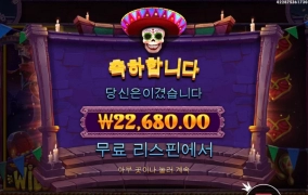 묘비 와일드 받기 이렇게 어렵나