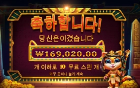 난 개보다 고양이가 좋더라 ㅋㅋㅋㅋ