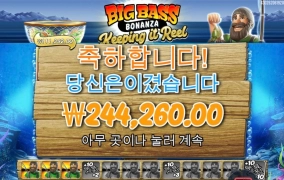 프라그마틱 빅배스 황금털보