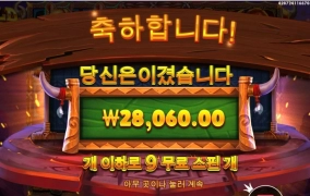 프라그마틱 와일드 바이슨 한바닥 아까워