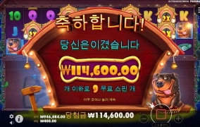 도그멀티홀드 왠일이니