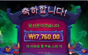 인펙티브 와일드 안주네