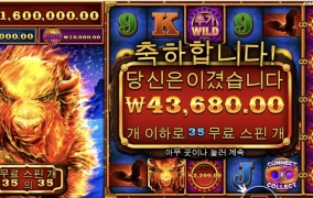 스탬피드..머 주는줄...