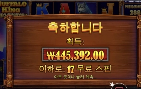 믿었다 버팔로 메가웨이즈 역시!